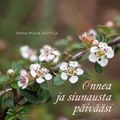 9789524921527_Onnea_ja_siunausta_paivaasi_jpg_size_max800_cl_888029_ch_df45318c3272832105236fa5f921fb28