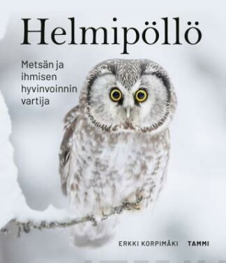 Helmipollo_Metsan_ja_ihmisen_hyvinvoinnin_vartija