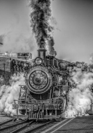 Steam_Train_2_____24_palan_palapeli